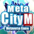 MetaCity M
